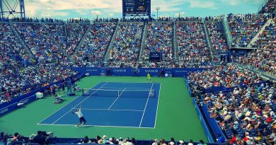 Tennis Match: Go Federer